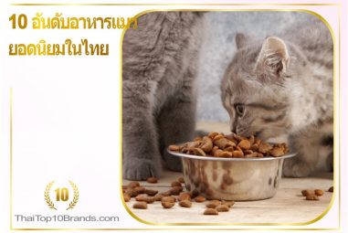 10 อันดับ อาหารแมว ในไทย