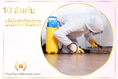 10 อันดับ บริษัทกำจัดปลวก หมดปัญหากวนบ้าน ปี 2026